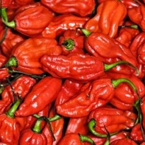 The Spiciest Meals in Britain