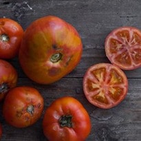 How to grow your own tomatoes | Make your own 