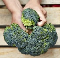 How to cook broccoli | Back to basics