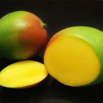 European ban on Indian mangoes sparks protests
