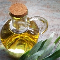 Olive, Sunflower or Canola - Which Oil is Healthier?