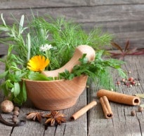 Nature At Your Service: Discover the Best Indian Herbs