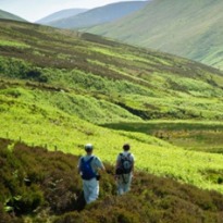 Put Your Best Foot Forward: Why Walking is Good For You