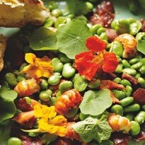 Full of Beans: Mary-Ellen McTague's Fresh Broad Bean Recipes