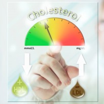 High Cholesterol May Increase the Risk of Breast Cancer