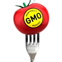 Why Does Europe Hate GM Food and is it About to Change Its Mind?