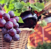 How Well do you Know Your Wine Grapes?