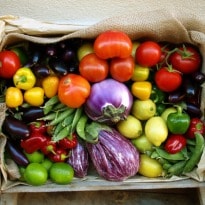 Why Organic Foods Are Good For You
