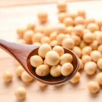 Why Women Should Switch to a Soy Diet
