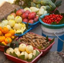 Notice to Civic Bodies on Ban on Selling Food in the Open