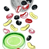 A Packed Lunch Full of Beans | The Lunch Box