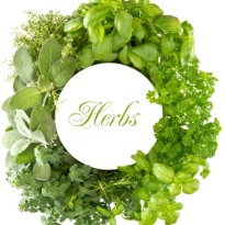 Get Your Own Edible Balcony: How to Grow Herbs