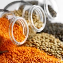 Eat More Pulses to Lose Weight