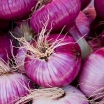 19 Recipe Ideas for Leftover Onions