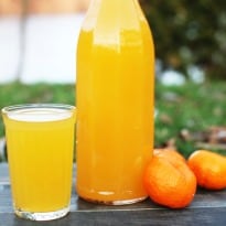 Juicing: How to Lose Weight and Become Fit