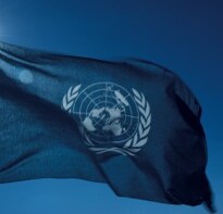 UN Urges Action to Fix 'Broken' World Food System