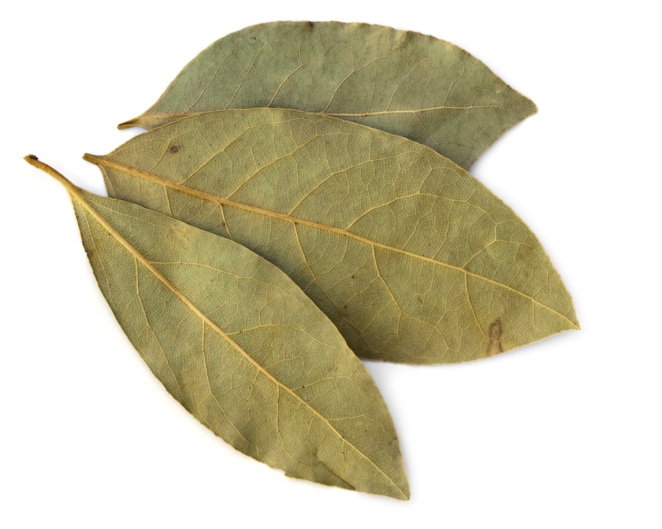 Bay Leaf