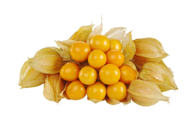 gooseberry fruit in hindi