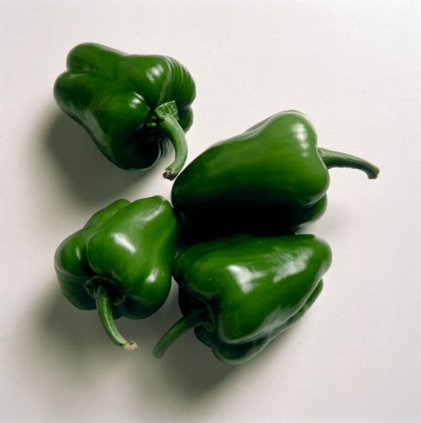 green bell pepper in hindi