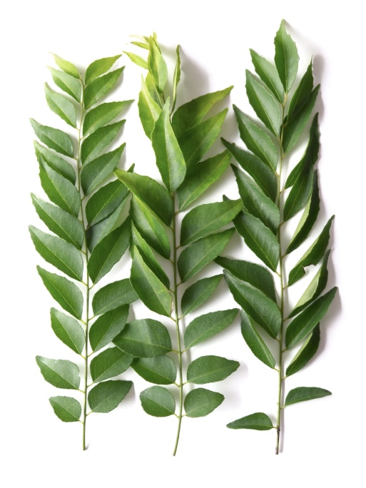 Curry Leaves Ndtv Food