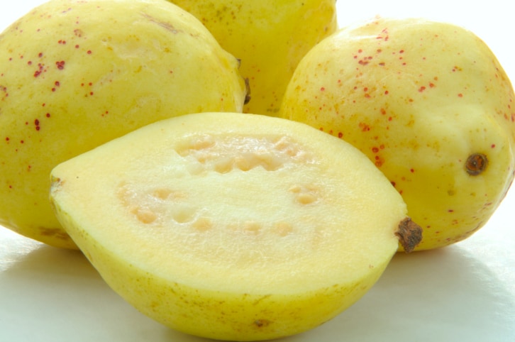 Guava