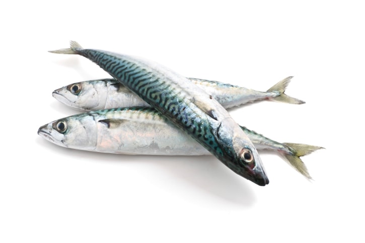 Mackerel in English, Bhangra in Hindi, Mackerel Recipes