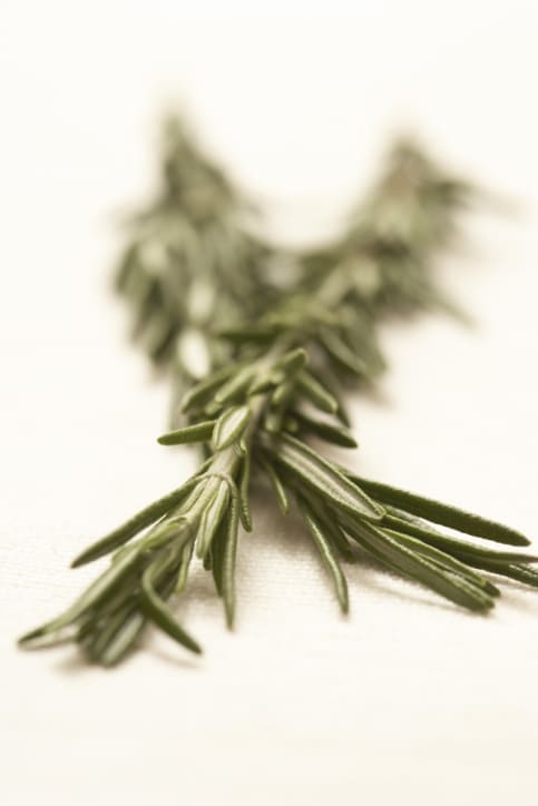 Rosemary