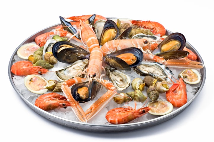 Shellfish cuisine and seafood cuisine