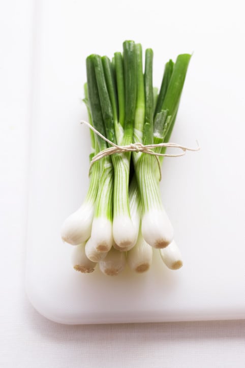 Spring Onion