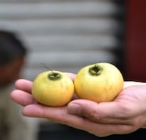 The Indian Fruit That You've Probably Never Heard Of!