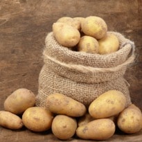 Eat Potatoes Galore to Lose Weight Now!