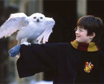 Now, Study Harry Potter at University