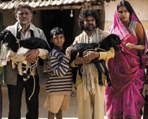 Peepli Live: Rural issues need not be boring