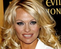 Pamela Anderson adopts stray dogs  