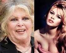 Brigitte Bardot wants to run for presidential post