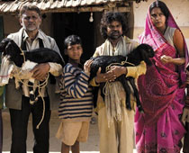  Peepli Live - will it make it to Oscars?  