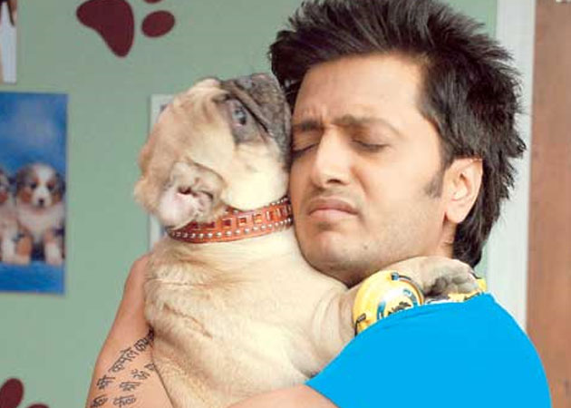 Meet Riteish Deshmukh's adorable new co-star