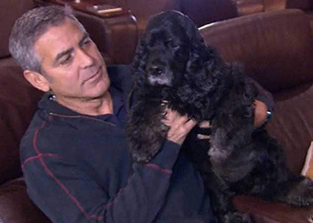 George Clooney treated his pet dog to a spa day last week