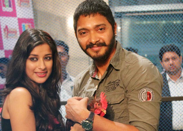 I'm privileged to work in Bollywood: southern actress Madhurima