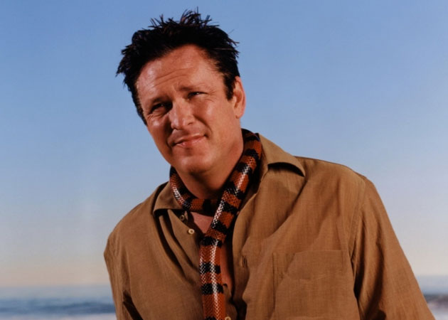 Michael Madsen arrested for driving under the influence 