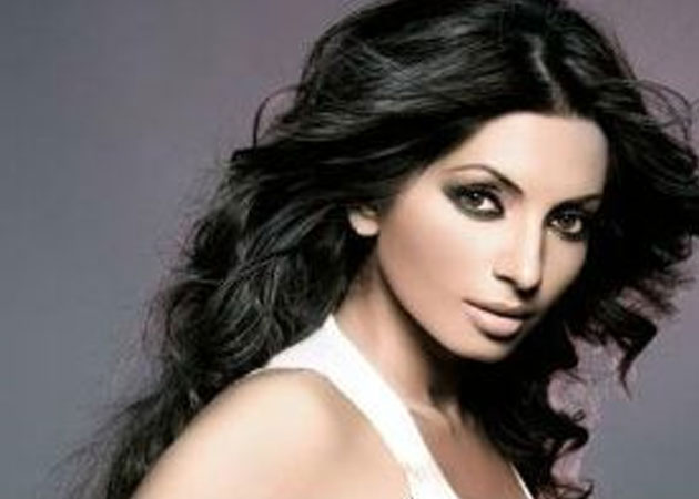 TV best institution for honing acting skills: Shama Sikander