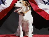 Uggie the dog is to release his memoir