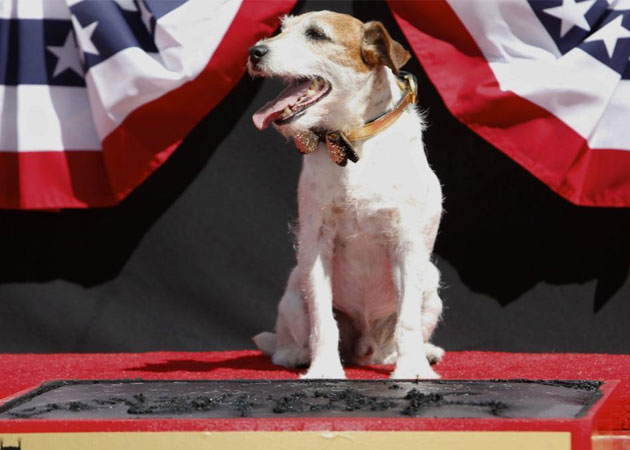 Uggie the dog is to release his memoir