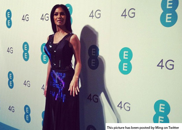 Nicole Scherzinger wears first Twitter dress