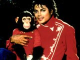 Michael Jackson's pet chimpanzee dumped by his family