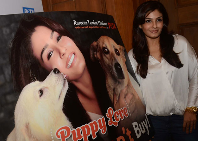 Adopt stray dogs, says Raveena Tandon in PETA campaign