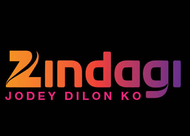 Indo-Pak Artists Collaborate on Series of Television Serials