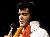 Elvis Presley's Fiancee Ginger Alden to Reveal his Final Moments