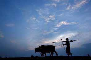 India forecasts average monsoon rains this year