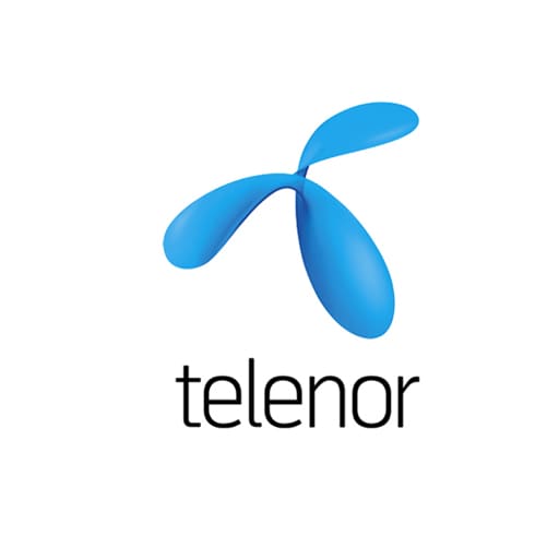 Telenor's Corporate Assembly's chairman Jan Erik Cross Lake to quit
